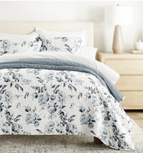 Load image into Gallery viewer, Wholesale Only Microfiber Printed Quilt Set