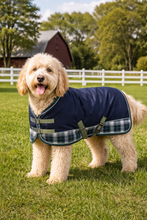 Load image into Gallery viewer, Wholesale Only Dog Blanket Coats