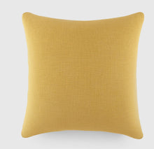 Load image into Gallery viewer, Solid Vintage Inspired Pillows